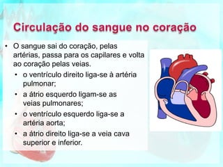 • O sangue sai do coração, pelas
artérias, passa para os capilares e volta
ao coração pelas veias.
• o ventrículo direito liga-se à artéria
pulmonar;
• a átrio esquerdo ligam-se as
veias pulmonares;
• o ventrículo esquerdo liga-se a
artéria aorta;
• a átrio direito liga-se a veia cava
superior e inferior.
 