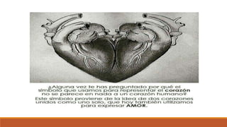 Sistema cardiovascular