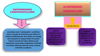 ENFERMEDADES
CARDIOVASCULARES
S
O
N
conocidas como “cardiopatías”, se definen
como un grupo de trastornos que afectan el
sistema cardiovascular. Este último se encarga
de transportar la sangre desde el corazón
hasta el circuito de tubos elásticos que
conocemos como vasos sanguíneos; en donde
se incluyen distintos tipos de venas, arterias,
arteriolas y capilares.
 