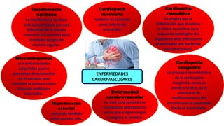 Cardiopatía
reumática
Se origina por la
inflamación que ocasiona
la fiebre reumática (una
respuesta patológica del
organismo ante infecciones
ocasionadas por bacterias
estreptocócicas).
Cardiopatía
coronaria
También es conocida
como infarto de
miocardio.
Cardiopatía
congénita
La principal característica
de la cardiopatía
congénita, como su
nombre lo dice, es la
existencia de
malformaciones del
corazón que se presentan
desde el nacimiento.
Insuficiencia
cardiaca
La insuficiencia cardiaca
está caracterizada por una
dificultad de la bomba
muscular (el corazón) para
bombear sangre de
manera regular.
Hipertensión
arterial
conocida también
como presión alta.
Enfermedad
cerebrovascular
En este caso también se
encuentran afectados los
vasos que irrigan sangre
y oxígeno al cerebro.
Miocardiopatías
son enfermedades
adquiridas que se
presentan directamente
en el corazón, que
también se conoce como
músculo cardiaco o
miocardio.
ENFERMEDADES
CARDIOVASCULARES
 
