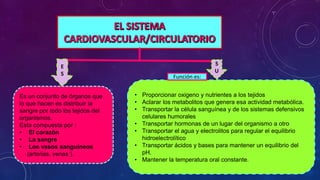 E
S
S
U
Es un conjunto de órganos que
lo que hacen es distribuir la
sangre por todo los tejidos del
organismos.
Esta compuesta por :
• El corazón
• La sangre
• Los vasos sanguíneos
(arterias, venas ).
• Proporcionar oxigeno y nutrientes a los tejidos
• Aclarar los metabolitos que genera esa actividad metabólica.
• Transportar la célula sanguínea y de los sistemas defensivos
celulares humorales
• Transportar hormonas de un lugar del organismo a otro
• Transportar el agua y electrolitos para regular el equilibrio
hidroelectrolítico
• Transportar ácidos y bases para mantener un equilibrio del
pH.
• Mantener la temperatura oral constante.
Función es:
 