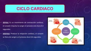 • SÍSTOLE: Es un movimiento de contracción cardiaca,
el corazón impulsa la sangre el proceso esto dura 0.3
segundos.
• DIÁSTOLE: Produce la relajación cardiaca, el corazón
se llena de sangre y el proceso dura 0,6 segundos.
CICLO CARDIACO
 