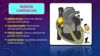  PRIMER RUIDO: Cierre de válvulas
aurícula ventriculares.
 SEGUNDO RUIDO: Cierre de las
válvulas aortica y pulmonar.
 TERCER RUIDO: Cierre y vibración de
paredes ventriculares.
 CUARTO RUIDO: Se produce durante la
sístole auricular.
RUIDOS
CARDIÁCOS
 