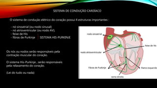 SISTEMA DE CONDUÇÃO CARDÍACO
O sistema de condução elétrico do coração possui 4 estruturas importantes :
- nó sinoatrial (ou nodo sinusal)
- nó atrioventricular (ou nodo AV),
- feixe de His
- fibras de Purkinje SISTEMA HIS-PURKINJE
Os nós ou nodos serão responsáveis pela
contração muscular do coração.
O sistema His-Purkinje , serão responsáveis
pela relaxamento do coração.
(Lei do tudo ou nada)
 