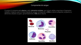 Componentes do sangue
O sangue é composto pelo plasma e pelos elementos celulares, que incluem células sanguíneas e fragmentos
celulares. O plasma, que é a matriz líquida do sangue, corresponde a 55% do volume sanguíneo, enquanto os
elementos celulares ocupam, aproximadamente, 45% desse volume.
 