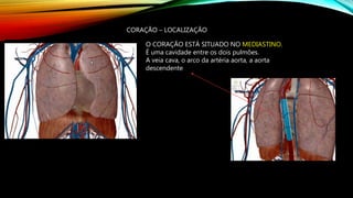 CORAÇÃO – LOCALIZAÇÃO
O CORAÇÃO ESTÁ SITUADO NO MEDIASTINO.
É uma cavidade entre os dois pulmões.
A veia cava, o arco da artéria aorta, a aorta
descendente
 