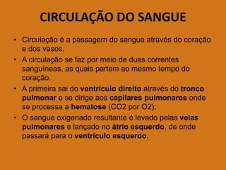 CIRCULAÇÃO DO SANGUE
• Circulação é a passagem do sangue através do coração
e dos vasos.
• A circulação se faz por meio de duas correntes
sanguíneas, as quais partem ao mesmo tempo do
coração.
• A primeira sai do ventrículo direito através do tronco
pulmonar e se dirige aos capilares pulmonares onde
se processa a hematose (CO2 por O2);
• O sangue oxigenado resultante é levado pelas veias
pulmonares e lançado no átrio esquerdo, de onde
passará para o ventrículo esquerdo.
 