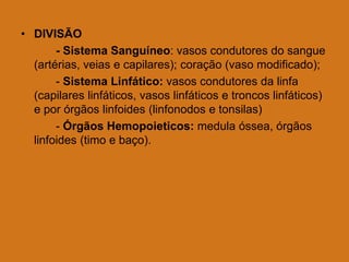 • DIVISÃO
- Sistema Sanguíneo: vasos condutores do sangue
(artérias, veias e capilares); coração (vaso modificado);
- Sistema Linfático: vasos condutores da linfa
(capilares linfáticos, vasos linfáticos e troncos linfáticos)
e por órgãos linfoides (linfonodos e tonsilas)
- Órgãos Hemopoieticos: medula óssea, órgãos
linfoides (timo e baço).
 