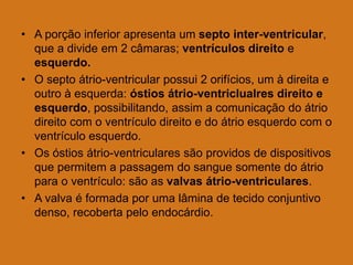 • A porção inferior apresenta um septo inter-ventricular,
que a divide em 2 câmaras; ventrículos direito e
esquerdo.
• O septo átrio-ventricular possui 2 orifícios, um à direita e
outro à esquerda: óstios átrio-ventriclualres direito e
esquerdo, possibilitando, assim a comunicação do átrio
direito com o ventrículo direito e do átrio esquerdo com o
ventrículo esquerdo.
• Os óstios átrio-ventriculares são providos de dispositivos
que permitem a passagem do sangue somente do átrio
para o ventrículo: são as valvas átrio-ventriculares.
• A valva é formada por uma lâmina de tecido conjuntivo
denso, recoberta pelo endocárdio.
 
