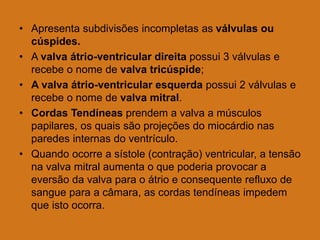 • Apresenta subdivisões incompletas as válvulas ou
cúspides.
• A valva átrio-ventricular direita possui 3 válvulas e
recebe o nome de valva tricúspide;
• A valva átrio-ventricular esquerda possui 2 válvulas e
recebe o nome de valva mitral.
• Cordas Tendíneas prendem a valva a músculos
papilares, os quais são projeções do miocárdio nas
paredes internas do ventrículo.
• Quando ocorre a sístole (contração) ventricular, a tensão
na valva mitral aumenta o que poderia provocar a
eversão da valva para o átrio e consequente refluxo de
sangue para a câmara, as cordas tendíneas impedem
que isto ocorra.
 