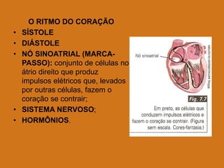 O RITMO DO CORAÇÃO
• SÍSTOLE
• DIÁSTOLE
• NÓ SINOATRIAL (MARCA-
PASSO): conjunto de células no
átrio direito que produz
impulsos elétricos que, levados
por outras células, fazem o
coração se contrair;
• SISTEMA NERVOSO;
• HORMÔNIOS.
 