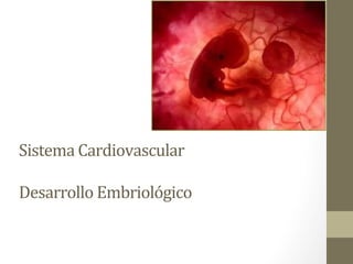 Sistema	Cardiovascular	
	
Desarrollo	Embriológico	
	
	
 