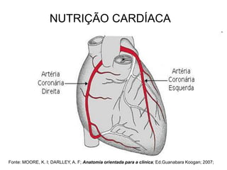 NUTRIÇÃO CARDÍACA
Fonte: MOORE, K. I; DARLLEY, A. F; Anatomia orientada para a clinica; Ed.Guanabara Koogan; 2007;
 