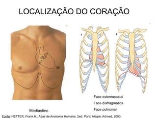 LOCALIZAÇÃO DO CORAÇÃO
Mediastino
Face esternocostal
Face diafragmática
Face pulmonar
Fonte: NETTER, Frank H.. Atlas de Anatomia Humana. 2ed. Porto Alegre: Artmed, 2000.
 