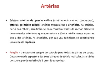 Artérias
• Existem artérias de grande calibre (artérias elásticas ou condutoras),
artérias de médio calibre (artérias musculares) e arteríolas. As artérias,
perto das células, ramificam-se para constituir vasos de menor diâmetro
denominados arteríolas, que apresentam a túnica média menos espessas
que a das artérias. As arteríolas, por sua vez, ramificam-se constituindo
uma rede de capilares.
• Função - transportam sangue do coração para todas as partes do corpo.
Dada a elevada espessura das suas paredes de tecido muscular, as artérias
possuem grande resistência à pressão sanguínea.
 