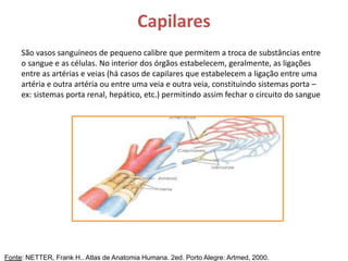 Capilares
São vasos sanguíneos de pequeno calibre que permitem a troca de substâncias entre
o sangue e as células. No interior dos órgãos estabelecem, geralmente, as ligações
entre as artérias e veias (há casos de capilares que estabelecem a ligação entre uma
artéria e outra artéria ou entre uma veia e outra veia, constituindo sistemas porta –
ex: sistemas porta renal, hepático, etc.) permitindo assim fechar o circuito do sangue
Fonte: NETTER, Frank H.. Atlas de Anatomia Humana. 2ed. Porto Alegre: Artmed, 2000.
 