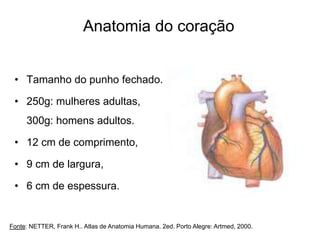 • Tamanho do punho fechado.
• 250g: mulheres adultas,
300g: homens adultos.
• 12 cm de comprimento,
• 9 cm de largura,
• 6 cm de espessura.
Anatomia do coração
Fonte: NETTER, Frank H.. Atlas de Anatomia Humana. 2ed. Porto Alegre: Artmed, 2000.
 