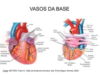 VASOS DA BASE
Fonte: NETTER, Frank H.. Atlas de Anatomia Humana. 2ed. Porto Alegre: Artmed, 2000.
 