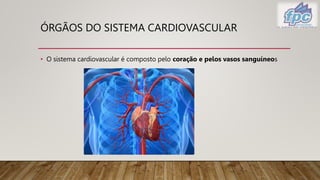 ÓRGÃOS DO SISTEMA CARDIOVASCULAR
• O sistema cardiovascular é composto pelo coração e pelos vasos sanguíneos
 
