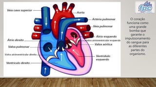 O coração
funciona como
uma grande
bomba que
garante o
impulsionamento
do sangue para
as diferentes
partes do
organismo.
 