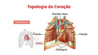 Topologia do Coração
MEDIASTINO
esterno
 