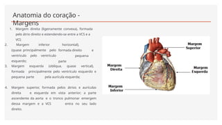 Anatomia do coração -
Margens
1. Margem direita (ligeiramente convexa), formada
pelo átrio direito e estendendo-se entre a VCS e a
VCI;
horizontal),
formada direito e
pequena
parte
2. Margem inferior
(quase principalmente pelo
ventrículo pelo ventrículo
esquerdo;
3. Margem esquerda (oblíqua, quase vertical),
formada principalmente pelo ventrículo esquerdo e
pequena parte pela aurícula esquerda;
4. Margem superior, formada pelos átrios e aurículas
direita e esquerda em vista anterior; a parte
ascendente da aorta e o tronco pulmonar emergem
dessa margem e a VCS entra no seu lado
direito.
 