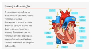 Fisiologia do coração
O coração possui 4 câmaras,
duas aurículas (ou átrios) e dois
ventrículos. Sangue
desoxigenado retorna ao átrio
direito do coração, através das
duas veias cava (superior e
inferior). É bombeado para o
ventrículo direito e depois para
os pulmões onde o dióxido de
carbono é libertado e o oxigénio
é absorvido.
 