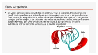Vasos sanguíneos
• Os vasos sanguíneos são divididos em artérias, veias e capilares. De uma maneira
geral, podemos dizer que veias são vasos responsáveis por levar o sangue do corpo
para o coração, enquanto as artérias são responsáveis por transportar o sangue do
coração para o corpo. Já os capilares são vasos de pequeno calibre, que apresentam
parede formada por uma única camada de célula, o que permite a troca de
substância entre a corrente sanguínea e o líquido intersticial.
 