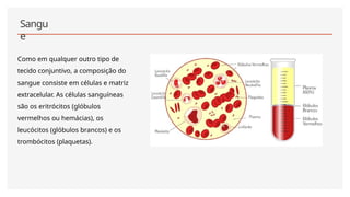 Sangu
e
Como em qualquer outro tipo de
tecido conjuntivo, a composição do
sangue consiste em células e matriz
extracelular. As células sanguíneas
são os eritrócitos (glóbulos
vermelhos ou hemácias), os
leucócitos (glóbulos brancos) e os
trombócitos (plaquetas).
 
