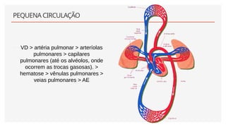 PEQUENA CIRCULAÇÃO
• VD > artéria pulmonar > arteríolas
pulmonares > capilares
pulmonares (até os alvéolos, onde
ocorrem as trocas gasosas). >
hematose > vênulas pulmonares >
veias pulmonares > AE
 