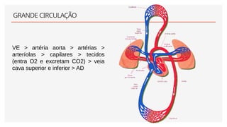 GRANDE CIRCULAÇÃO
VE > artéria aorta > artérias >
arteríolas > capilares > tecidos
(entra O2 e excretam CO2) > veia
cava superior e inferior > AD
 
