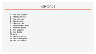 ATIVIDADE
1. Veia cava superior
2. Artéria pulmonar
3. Veia pulmonar
4. Válvula mitral
5. Válvula aórtica
6. Ventrículo esquerdo
7. Ventrículo direito
8. Átrio esquerdo
9. Átrio direito
10.Aorta
11. Válvula pulmonar
12.Válvula tricúspide
13.Veia cava inferior
 