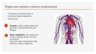 Órgãos que compõe o sistema cardiovascular
"O sistema cardiovascular é
composto pelas seguintes
estruturas:
1 Coração: órgão responsável por
garantir o bombeamento do
sangue
2 Vasos sanguíneos: são tubos por
onde o sangue passa. Os três
principais
tipos de vasos sanguíneos são:
artérias, veias e capilares
 