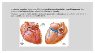 ◦ A irrigação sanguínea do coração é feita pelas artérias coronária direita e coronária esquerda. Elas
nascem da aorta ascendente e nutrem todo o tecido do coração.
◦ O sangue venoso do tecido cardíaco é drenado pelas veias cardíacas que se confluem para formar o
seio coronário, que desemboca no átrio direito.
 