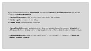 Agora, observando o coração internamente, encontramos septos de tecido fibromuscular, que divide o
coração em cavidades menores.
◦ O septo atrioventricular divide a cavidade do coração em dois andares.
 O andar superior corresponde aos átrios;
 O andar inferior corresponde aos ventrículos.
◦ O septo interatrial separa o andar superior em duas câmaras cardíacas chamadas de átrio direito e
átrio esquerdo. Cada átrio apresenta uma projeção anterior em forma de orelha denominada aurícula.
◦ O septo interventricular divide o andar inferior em duas câmaras cardíacas denominadas ventrículo
direito e ventrículo esquerdo.
 