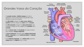 Grandes Vasos do Coração
◦ O coração recebe e distribui sangue por todo o
organismo, e isso ocorre através de grandes vasos
situados na base do coração.
◦ No átrio direito chegam às veias cavas, inferior e
superior trazendo sangue do corpo para o coração.
◦ No átrio esquerdo chegam às veias pulmonares, que
carregam sangue rico em oxigênio dos pulmões até o
coração.
◦ São as únicas veias da circulação do corpo humano
que carregam sangue oxigenado.
◦ O tronco pulmonar, formado pelas artérias pulmonares
direita e esquerda, sai do ventrículo direito em direção
aos pulmões.
◦ E do ventrículo esquerdo, sai a artéria aorta, que leva
sangue rico em oxigênio para o corpo.
 