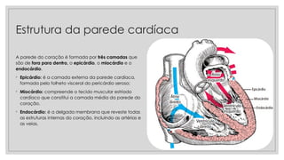 Estrutura da parede cardíaca
A parede do coração é formada por três camadas que
são de fora para dentro, o epicárdio, o miocárdio e o
endocárdio.
◦ Epicárdio: é a camada externa da parede cardíaca,
formada pelo folheto visceral do pericárdio seroso;
◦ Miocárdio: compreende o tecido muscular estriado
cardíaco que constitui a camada média da parede do
coração.
◦ Endocárdio: é a delgada membrana que reveste todas
as estruturas internas do coração, incluindo as artérias e
as veias.
 
