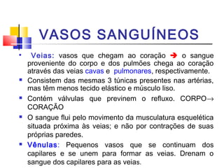 VASOS SANGUÍNEOS

     Veias: vasos que chegam ao coração  o sangue
    proveniente do corpo e dos pulmões chega ao coração
    através das veias cavas e pulmonares, respectivamente.
   Consistem das mesmas 3 túnicas presentes nas artérias,
    mas têm menos tecido elástico e músculo liso.
   Contém válvulas que previnem o refluxo. CORPO→
    CORAÇÃO
   O sangue flui pelo movimento da musculatura esquelética
    situada próxima às veias; e não por contrações de suas
    próprias paredes.
   Vênulas: Pequenos vasos que se continuam dos
    capilares e se unem para formar as veias. Drenam o
    sangue dos capilares para as veias.
 