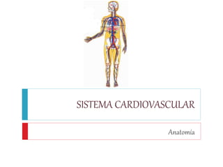 SISTEMA CARDIOVASCULAR
Anatomía
 