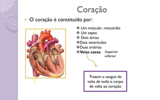 Coração
 O coração é constituído por:
 Um músculo : miocárdio
 Um septo
 Dois átrios
Dois ventrículos
Duas artérias
Veias cavas:
Trazem o sangue de
volta de todo o corpo
de volta ao coração
-Superior
-inferior
 