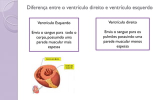 Diferença entre o ventrículo direito e ventrículo esquerdo
Ventrículo Esquerdo
Envia o sangue para todo o
corpo, possuindo uma
parede muscular mais
espessa
Ventrículo direito
Envia o sangue para os
pulmões possuindo uma
parede muscular menos
espessa
 