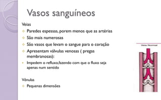Vasos sanguíneos
Veias
 Paredes espessas, porem menos que as artérias
 São mais numerosas
 São vasos que levam o sangue para o coração
 Apresentam válvulas venosas ( pregas
membranosas):
 Impedem o refluxo,fazendo com que o fluxo seja
apenas num sentido
Vênulas
 Pequenas dimensões
 