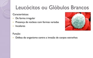 Leucócitos ou Glóbulos Brancos
Características:
 De forma irregular
 Presença de núcleos com formas variadas
 Incolores
Função:
 Defesa do organismo contra a invasão de corpos estranhos
 