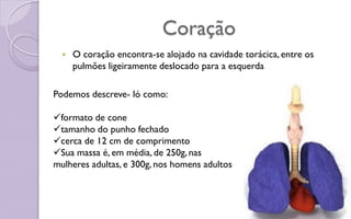Coração
 O coração encontra-se alojado na cavidade torácica, entre os
pulmões ligeiramente deslocado para a esquerda
Podemos descreve- ló como:
formato de cone
tamanho do punho fechado
cerca de 12 cm de comprimento
Sua massa é, em média, de 250g, nas
mulheres adultas, e 300g, nos homens adultos
 