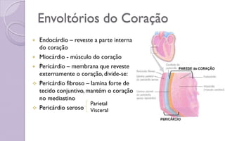 Envoltórios do Coração
 Endocárdio – reveste a parte interna
do coração
 Miocárdio - músculo do coração
 Pericárdio – membrana que reveste
externamente o coração, divide-se:
 Pericárdio fibroso – lamina forte de
tecido conjuntivo,mantém o coração
no mediastino
 Pericárdio seroso
Parietal
Visceral
 