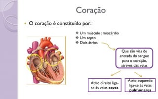 Coração
 O coração é constituído por:
 Um músculo : miocárdio
 Um septo
 Dois átrios
Que são vias de
entrada do sangue
para o coração,
através das veias
Átrio direito liga-
se ás veias cavas
Átrio esquerdo
liga-se ás veias
pulmonares
 