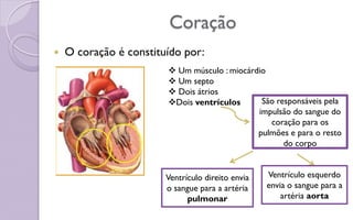 Coração
 O coração é constituído por:
 Um músculo : miocárdio
 Um septo
 Dois átrios
Dois ventrículos
Ventrículo direito envia
o sangue para a artéria
pulmonar
Ventrículo esquerdo
envia o sangue para a
artéria aorta
São responsáveis pela
impulsão do sangue do
coração para os
pulmões e para o resto
do corpo
 