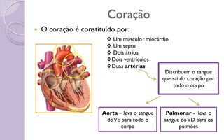 Coração
 O coração é constituído por:
 Um músculo : miocárdio
 Um septo
 Dois átrios
Dois ventrículos
Duas artérias
Aorta – leva o sangue
doVE para todo o
corpo
Pulmonar - leva o
sangue doVD para os
pulmões
Distribuem o sangue
que sai do coração por
todo o corpo
 