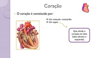 Coração
 O coração é constituido por:
 Um músculo : miocárdio
 Um septo
Que divide o
coração em dois
lados (direito e
esquerdo)
 