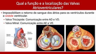 ▪ Impossibilitam o retorno de sangue dos átrios para os ventrículos durante
a sístole ventricular.
▪ Valva Tricúspide: Comunicação entre AD e VD.
▪ Valva Mitral: Comunicação entre AE e VE.
TM
 